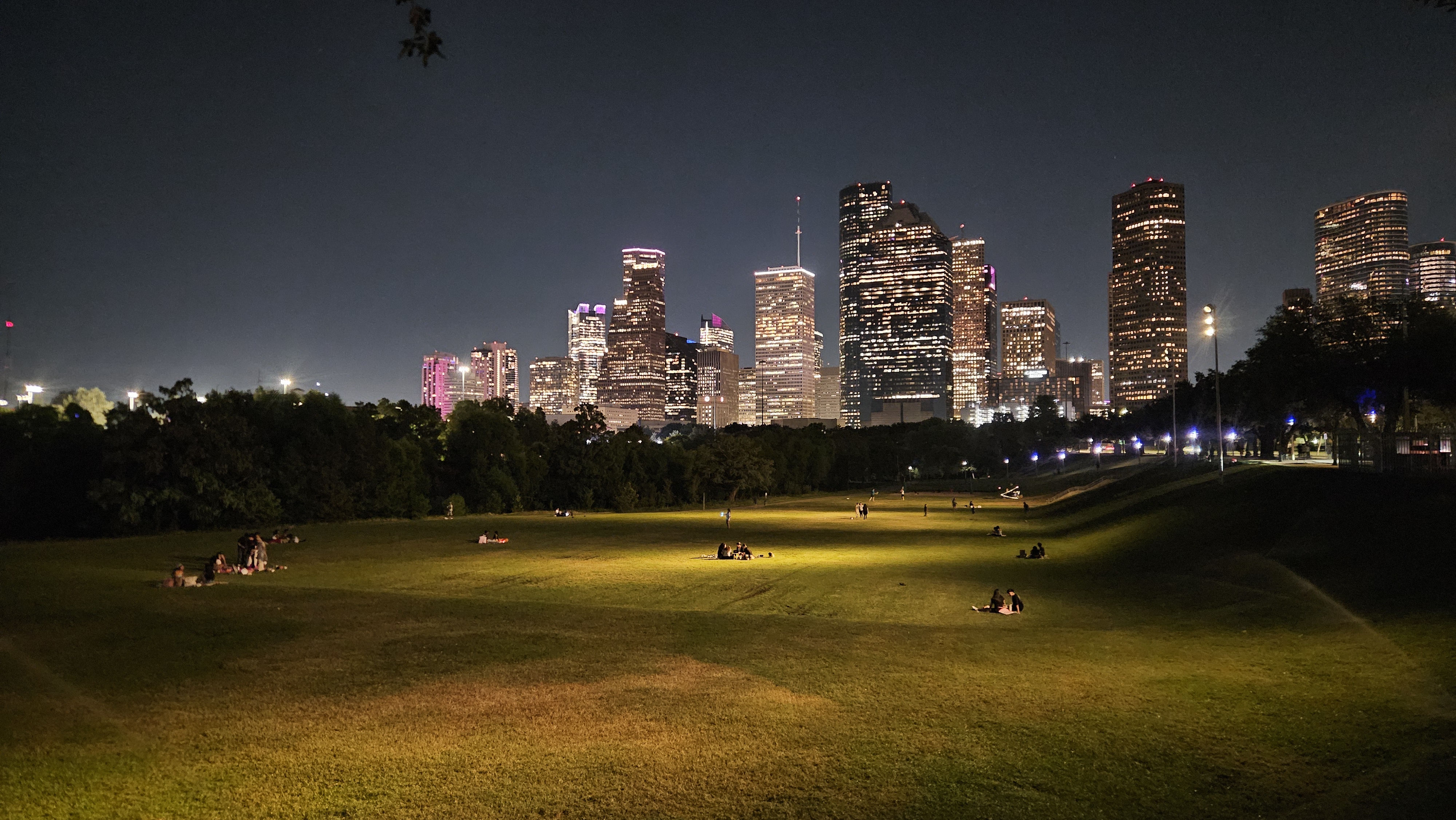City skyline at night seen from a park, illuminated buildings against a dark sky