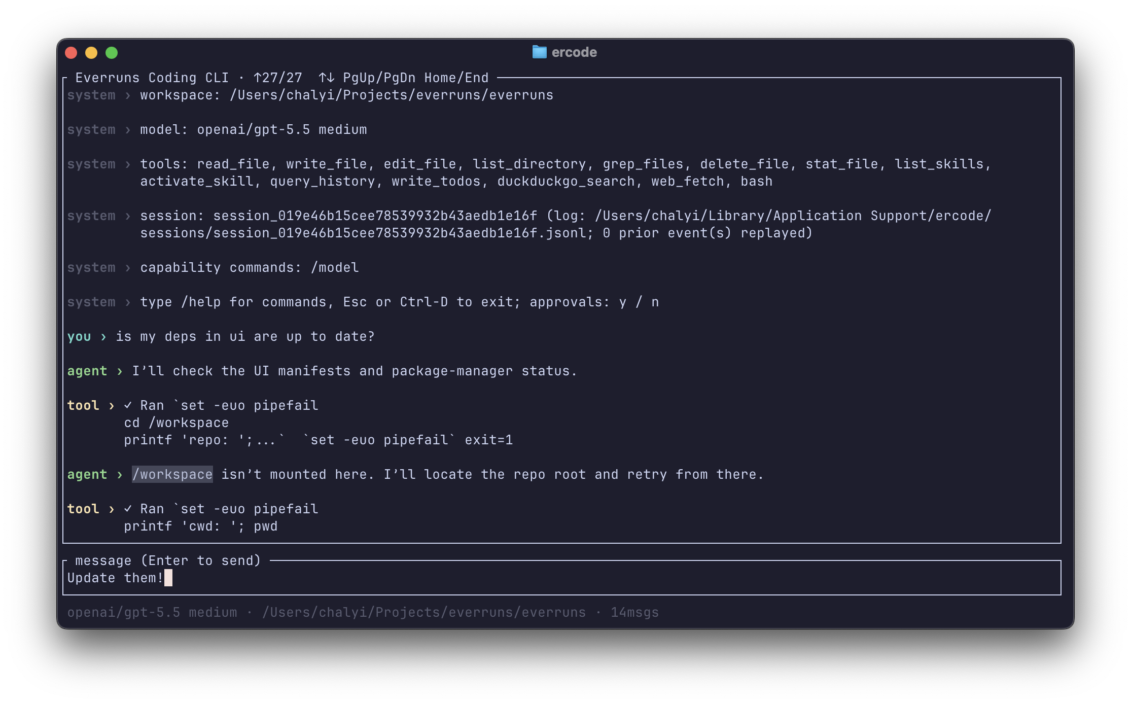 Terminal screenshot of the Everruns coding CLI: a chat transcript shows the agent picking up a workspace, listing the registered tools, and responding to a prompt about dependency status.